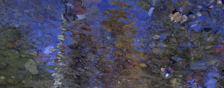 American Legion Soluting